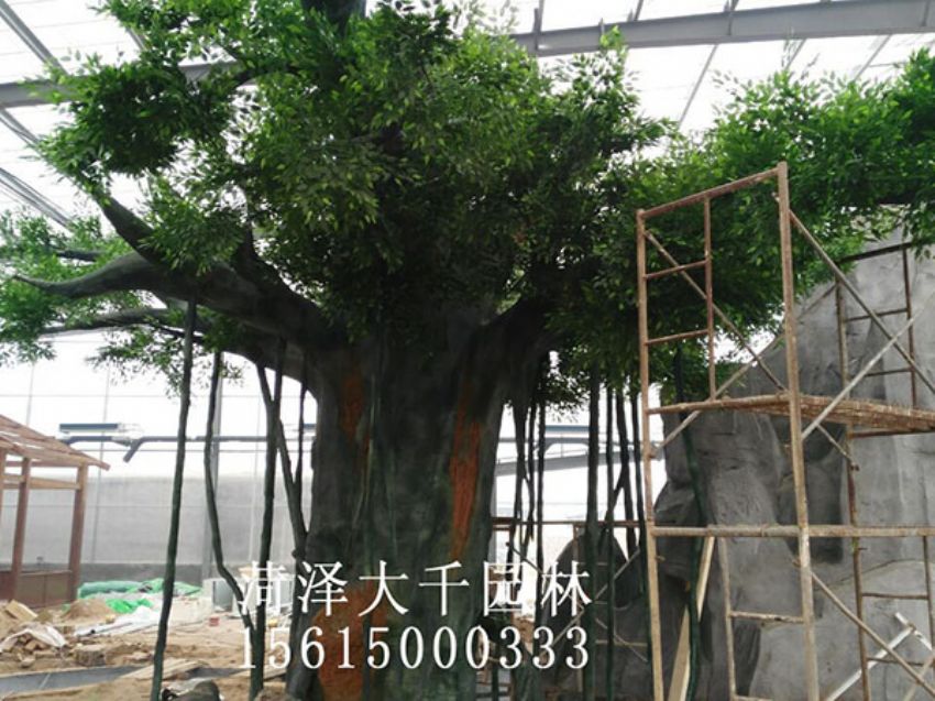 點擊查看詳細信息<br>標題：假樹 閱讀次數：1436