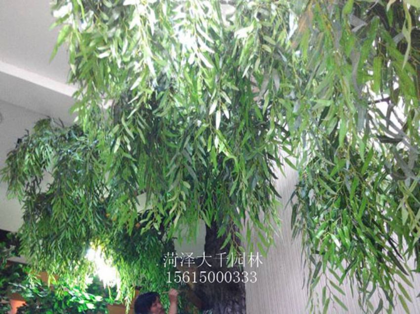 點擊查看詳細信息<br>標題：假樹 閱讀次數：1365
