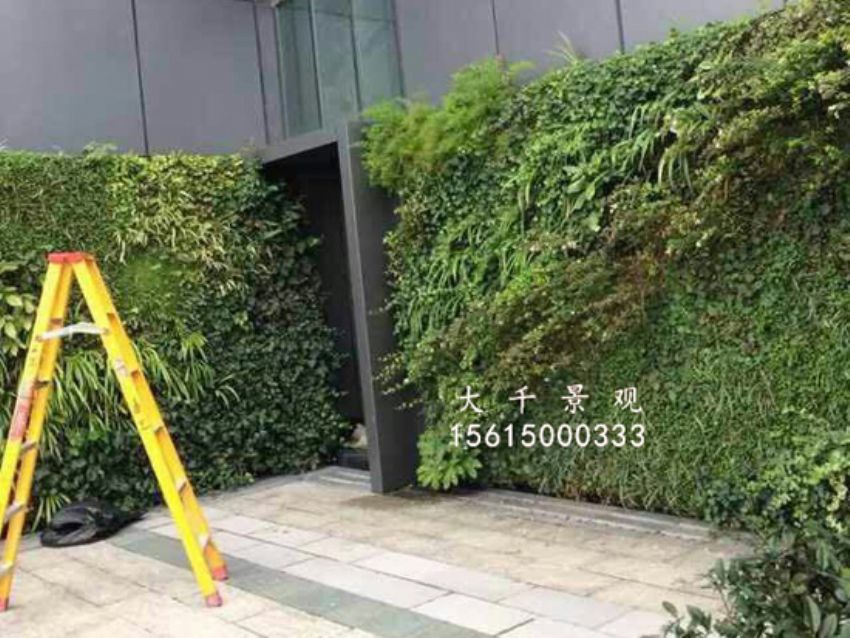 點擊查看詳細信息<br>標題：綠植墻 閱讀次數：1528