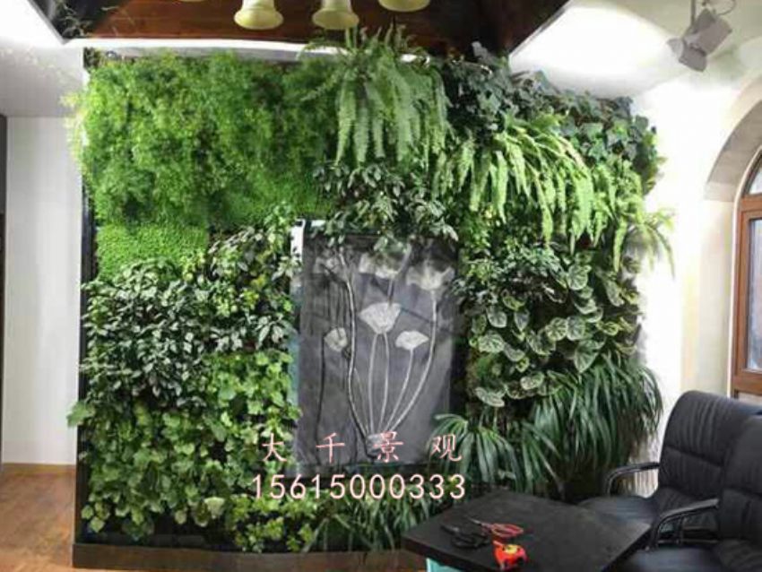 點擊查看詳細信息<br>標題：綠植墻 閱讀次數：1750