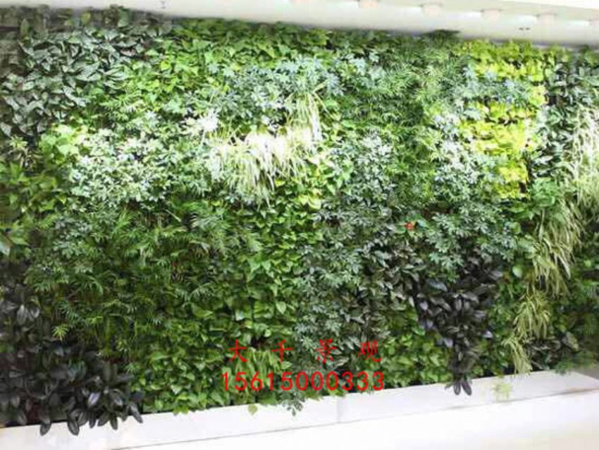 點擊查看詳細信息<br>標題：綠植墻 閱讀次數：2408