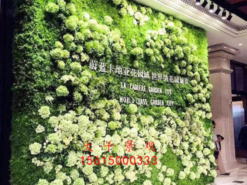 點擊查看詳細信息<br>標題：綠植墻 閱讀次數：2052