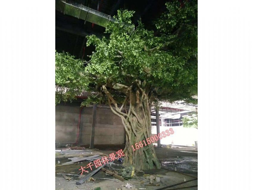 點(diǎn)擊查看詳細(xì)信息<br>標(biāo)題：假樹(shù) 閱讀次數(shù)：1636